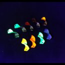 Twist Spoon 2,5 Gramm Gelb/grün/orange(UV)